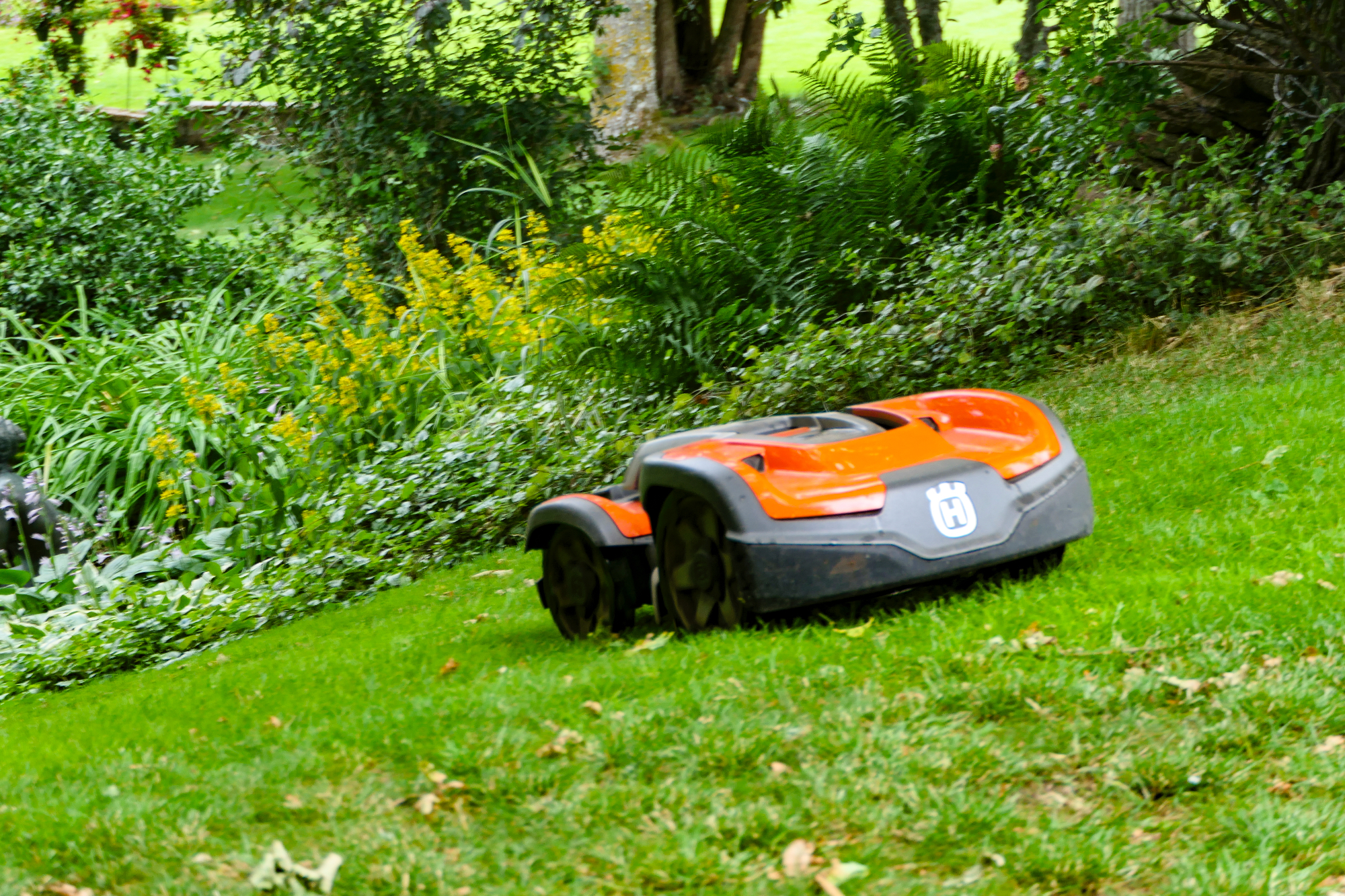 Robotska kosilnica je primerna za zelo veliko ljudi